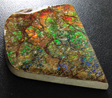 Крупный многоцветный аммолит аммонита 43,6 карат 