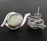 Серьги с solid опалами Серебро 925