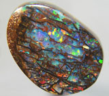 Редкость! Опализированное окаменевшее ископаемое дерево 8,44 карат 