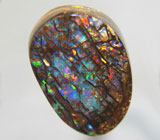 Редкость! Опализированное окаменевшее ископаемое дерево 8,44 карат 