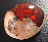 Мексиканский болдер опал 8,98 карат 