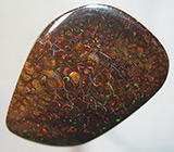 Австралийский болдер опал 19,16 карат 
