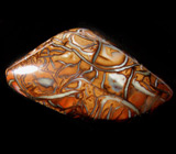 Австралийский болдер опал 38,4 карат 