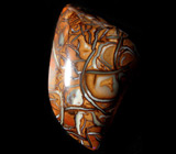 Австралийский болдер опал 38,4 карат 