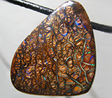 Крупный австралийский болдер опал 67,86 карат на шнуре 