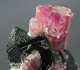 Кристаллы розовых турмалинов, бесцветного и дымчатого кварца 