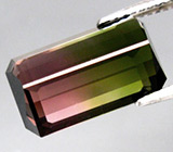 Арбузный турмалин 5,33 карат 