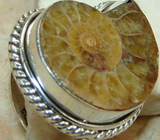 Кольцо с аммонитом Серебро 925
