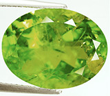 Крупный перидот 13,88 карат 