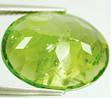 Крупный перидот 13,88 карат 