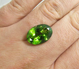 Крупный перидот 13,88 карат 