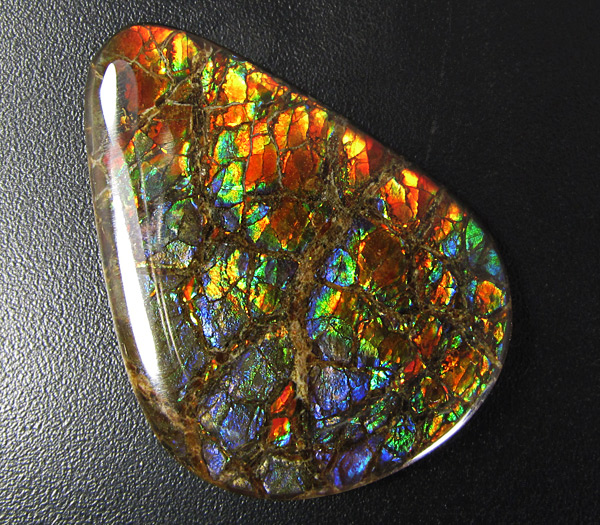 Аммолит аммонита 31,99 карат