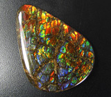 Аммолит аммонита 31,99 карат 