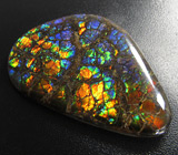 Аммолит аммонита 31,99 карат 