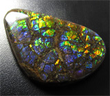 Аммолит аммонита 31,99 карат 