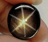 Звездчатый сапфир 14,92 карат 