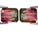 Пара арбузных турмалинов 2,84 карат 