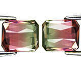 Пара арбузных турмалинов 2,84 карат 