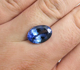 Крупный полихромный танзанит 8,78 карат 