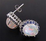 Серьги с эфиопскими опалами и сапфирами Серебро 925