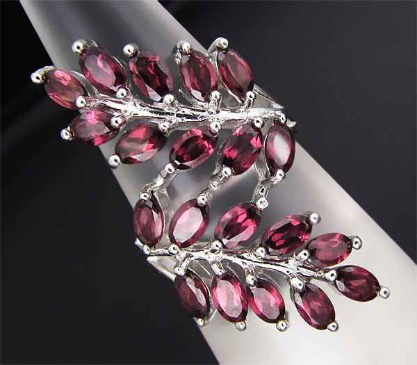 Замечательное кольцо с родолитами