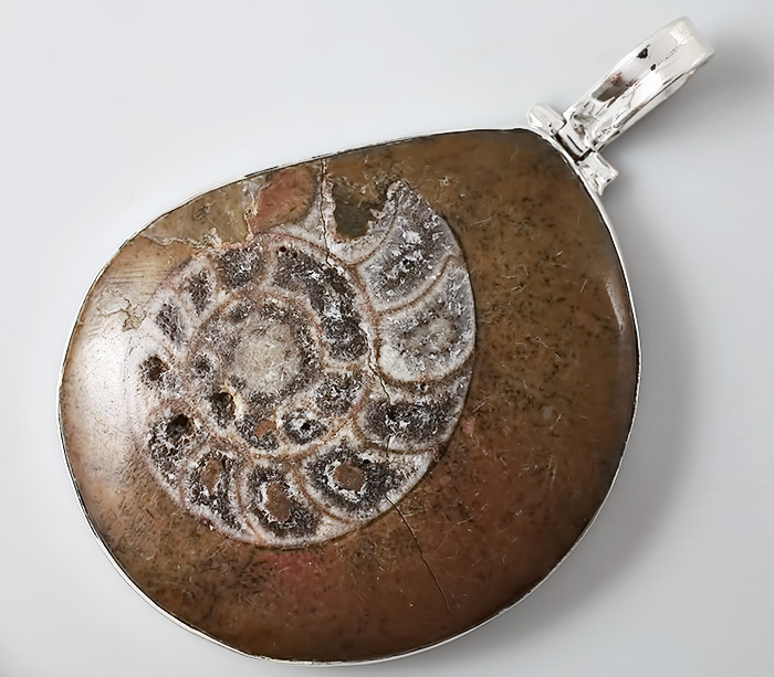 Кулон с аммонитом