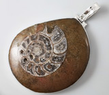 Кулон с аммонитом Серебро 925