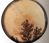 Кулон с дендритическим агатом Серебро 925