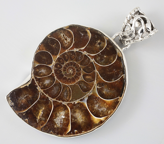 Кулон с аммонитом