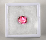 Пурпурно-розовый турмалин 1,65 карат 