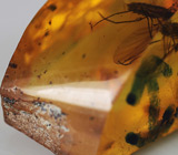 Доминиканский янтарь с насекомым 12,19 карат 