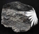 "Хризантемовый" камень 376 грамм 