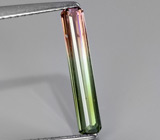 Арбузный турмалин 0,93 карат 