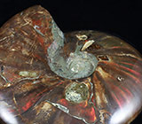 Крупный опализированный мадагаскарский аммонит в багете 702,5 грамм