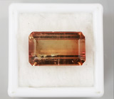 Крупный полихромный турмалин 11,67 карат 