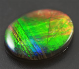 Аммолит аммонита 1,78 карат 