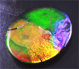 Аммолит аммонита 2,21 карат 