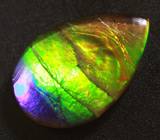 Аммолит аммонита 2,4 карат 