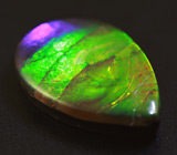 Аммолит аммонита 2,4 карат 