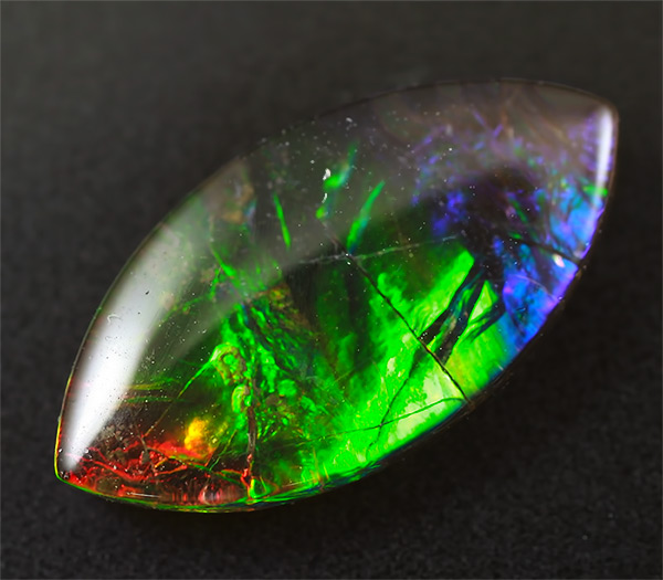 Аммолит аммонита 1,54 карат