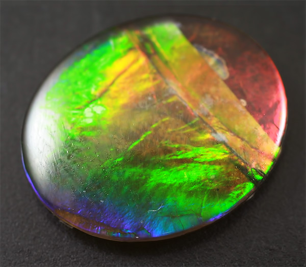 Аммолит аммонита 2,63 карат