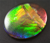 Аммолит аммонита 2,63 карат 