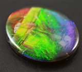 Аммолит аммонита 2,63 карат 