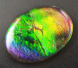 Аммолит аммонита 3,09 карат 