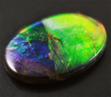 Аммолит аммонита 3,09 карат 