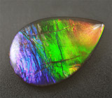 Аммолит аммонита 3,62 карат 