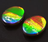 Пара аммолитов аммонита 3,12 карат 