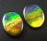 Пара аммолитов аммонита 3,12 карат 