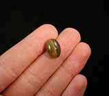 Редкий! Апатит с эффектом кошачьего глаза 15,25 карат 