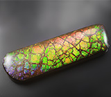 Крупный аммолит аммонит 23,49 карат 